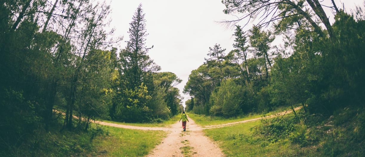 Figure standing at a path crossing in the foerst.